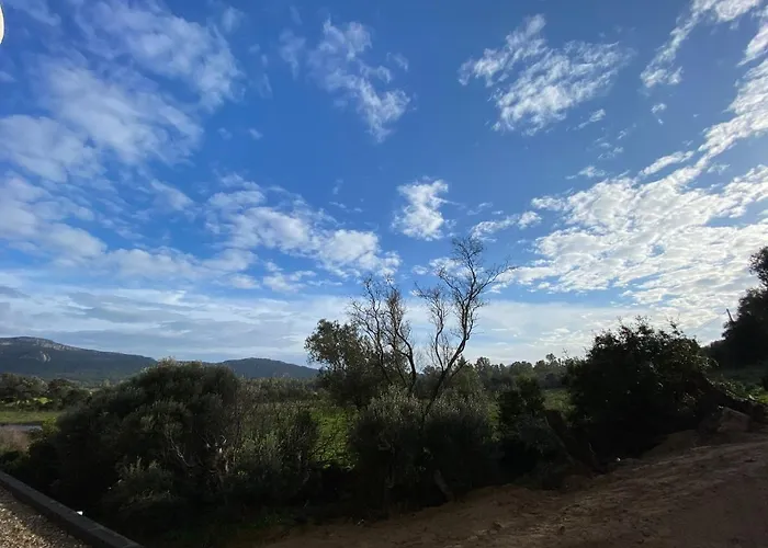 Porto-Vecchio, Luxe et lumière, Stanatura